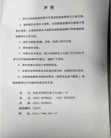 一次性医用口罩检验报告4